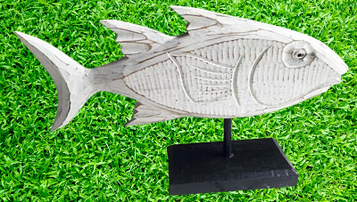 fish