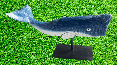 shark